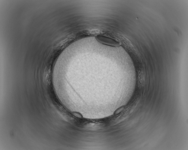 X0000111360364200908071158