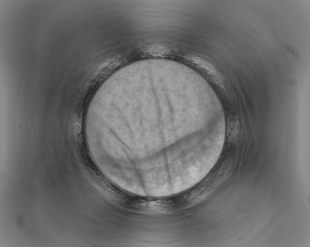 X0000111360365200908071158