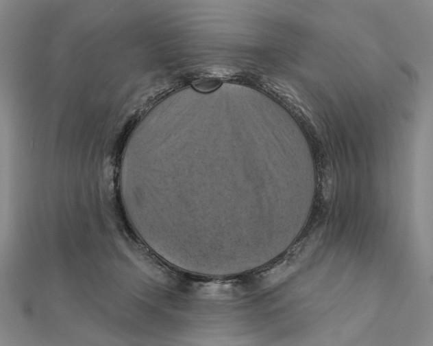 X0000111360366200908071158