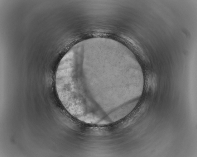 X0000111360367200908071158