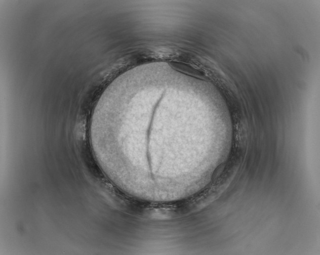 X0000111360368200908071158