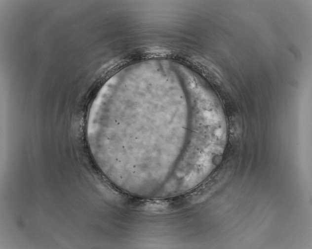 X0000111360369200908071158