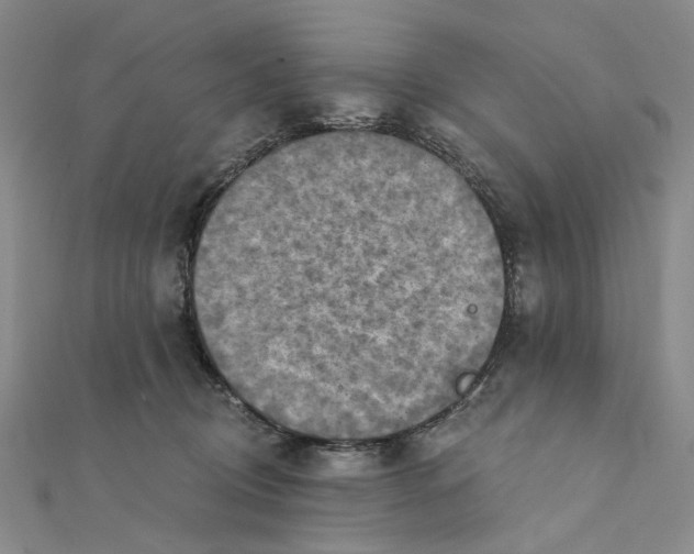 X0000111360370200908071158