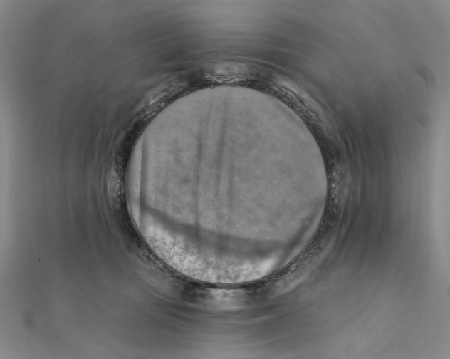 X0000111360371200908071158