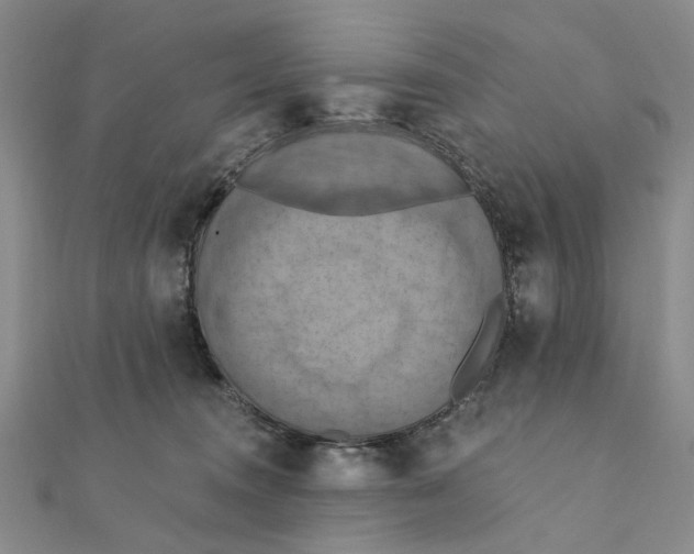 X0000111360372200908071158