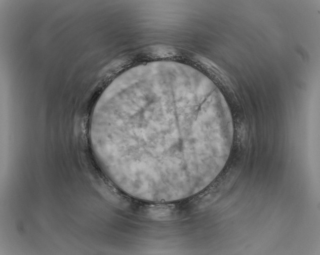 X0000111360373200908071158