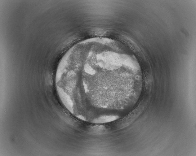 X0000111360374200908071158