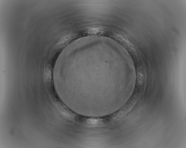 X0000111360375200908071158