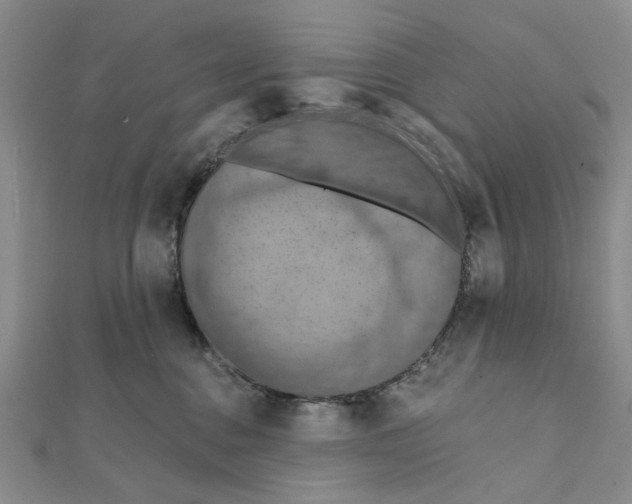 X0000111360376200908071158