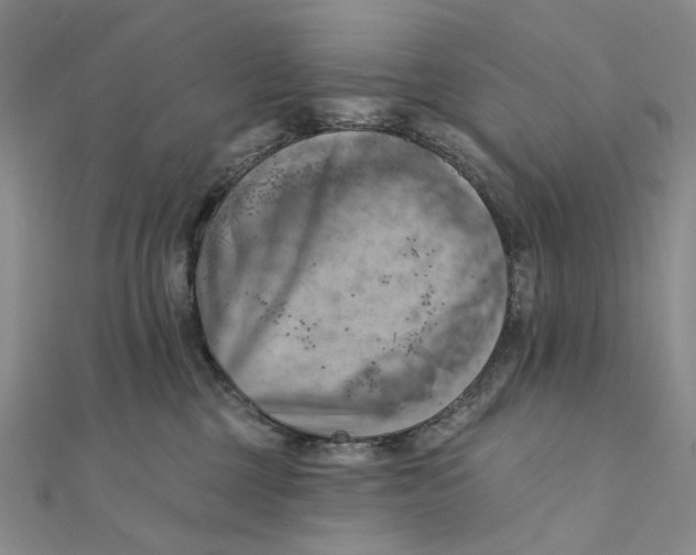 X0000111360377200908071158