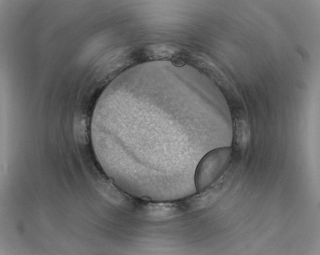 X0000111360378200908071158