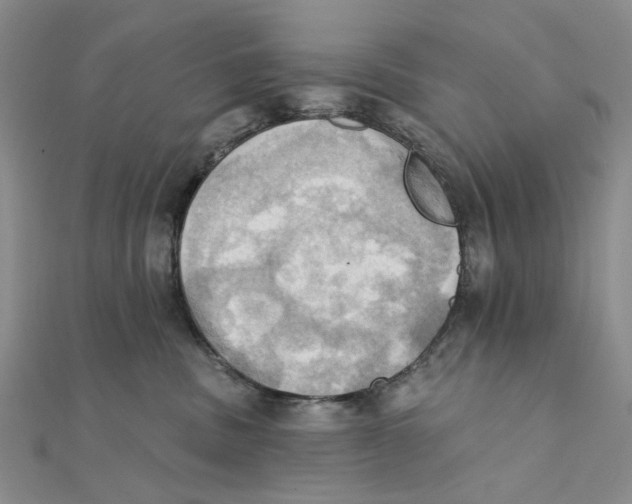 X0000111360379200908071158