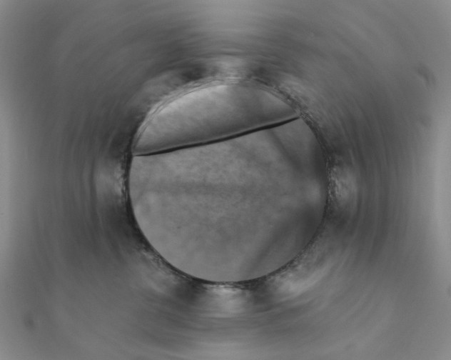 X0000111360380200908071158