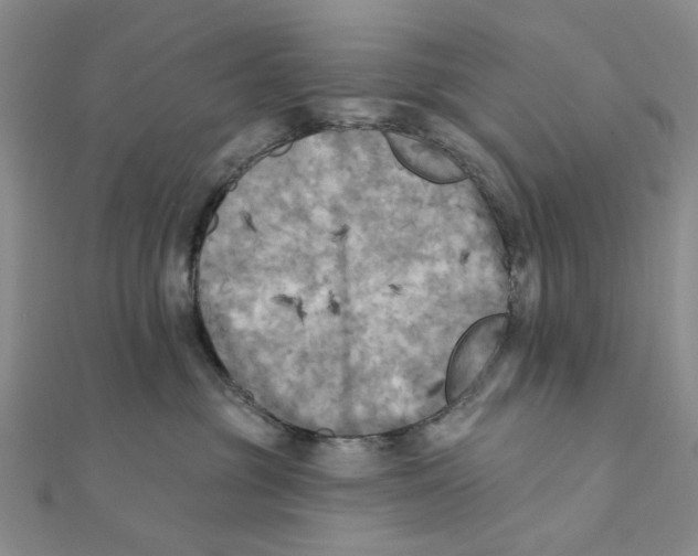 X0000111360381200908071158