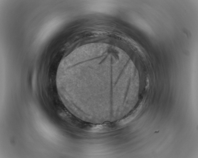 X0000111360382200908071158