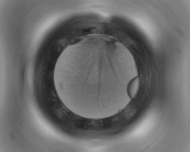 X0000111360383200908071158