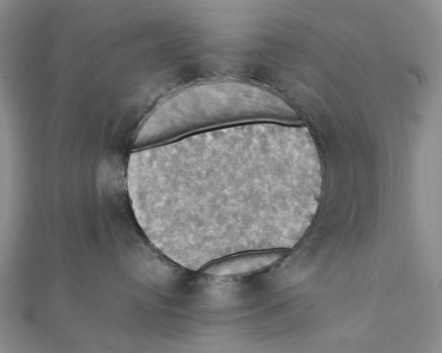 X0000111360384200908071158