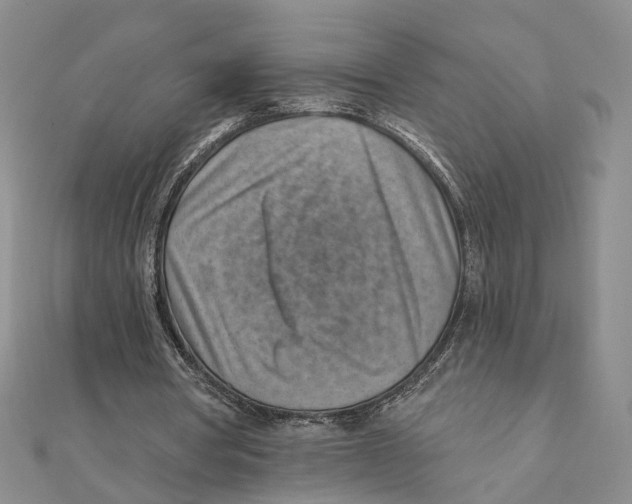 X0000111360386200908071157