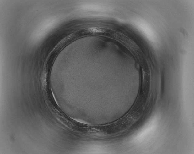 X0000111360387200908071157