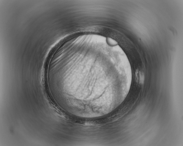 X0000111360388200908071157