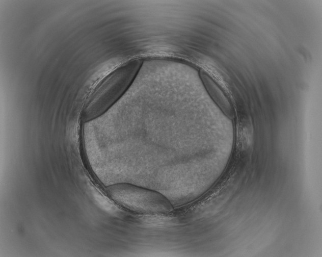 X0000111360389200908071157