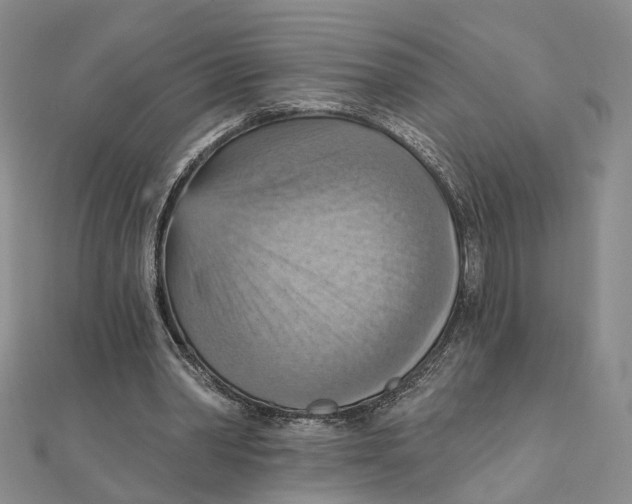 X0000111360390200908071157