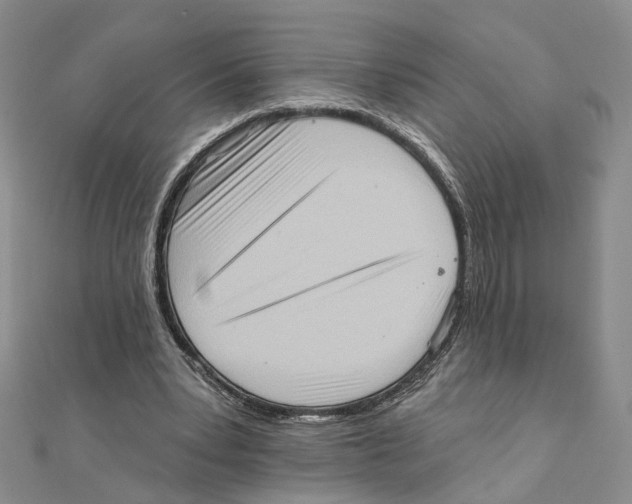 X0000111360391200908071157