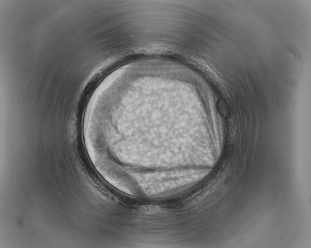 X0000111360392200908071157