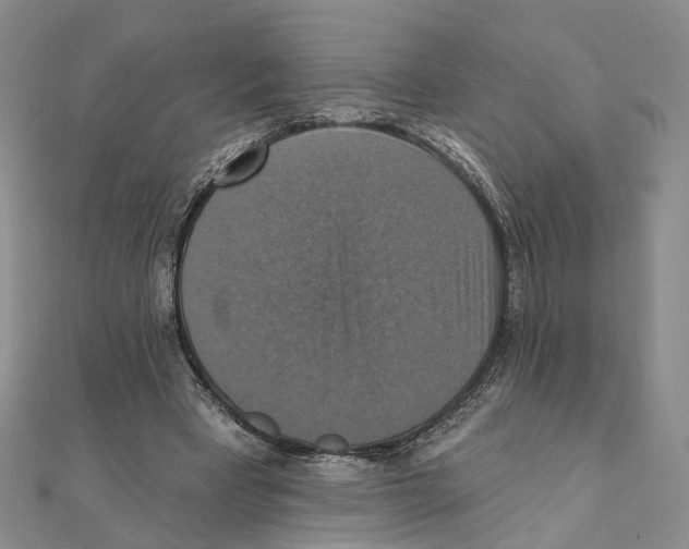 X0000111360393200908071157