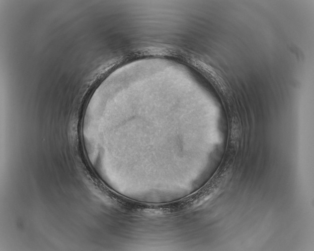 X0000111360394200908071157