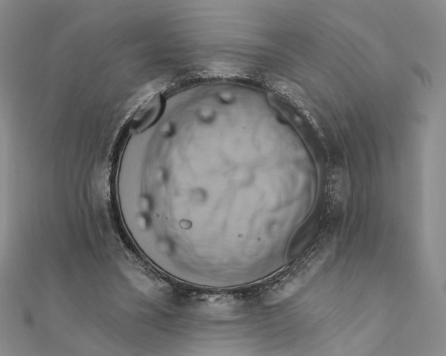 X0000111360395200908071157