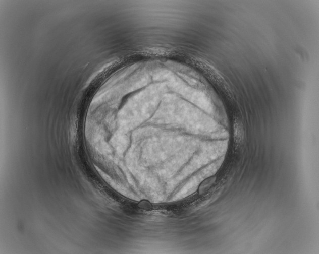 X0000111360396200908071157