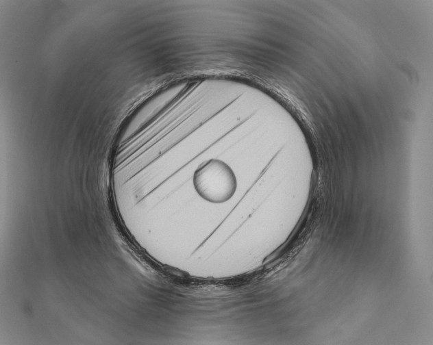 X0000111360397200908071157