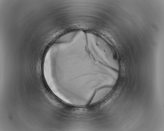 X0000111360398200908071157