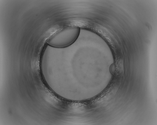 X0000111360399200908071157