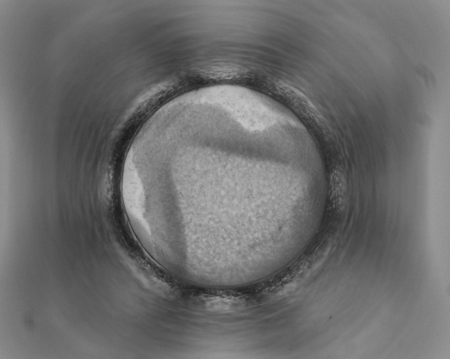 X0000111360400200908071157