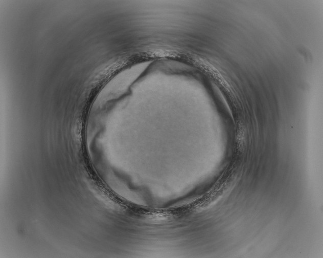 X0000111360402200908071157