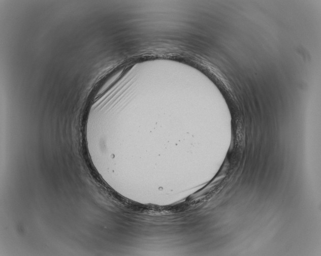 X0000111360403200908071157