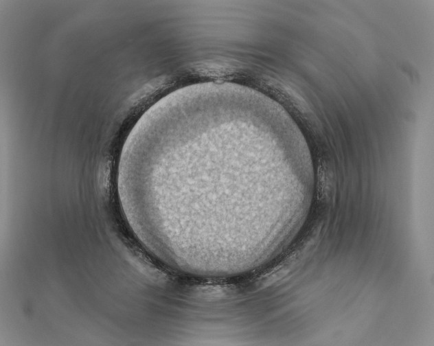 X0000111360404200908071157