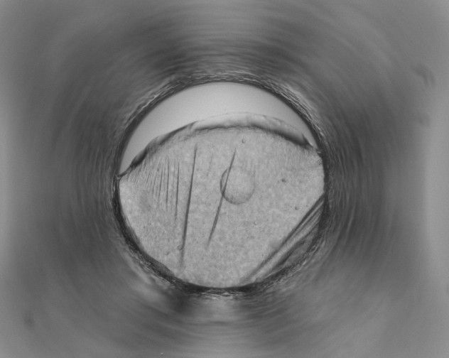 X0000111360405200908071157