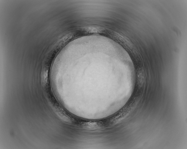 X0000111360406200908071157