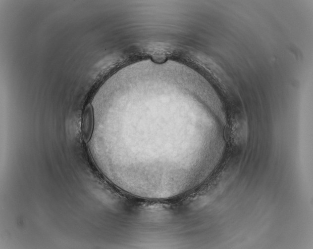 X0000111360407200908071157