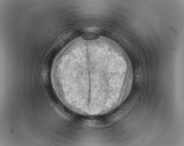 X0000111360408200908071157