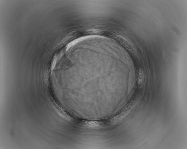 X0000111360409200908071157