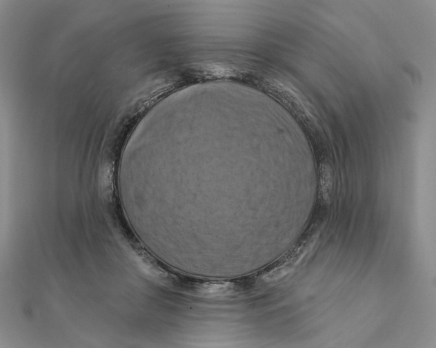 X0000111360410200908071157