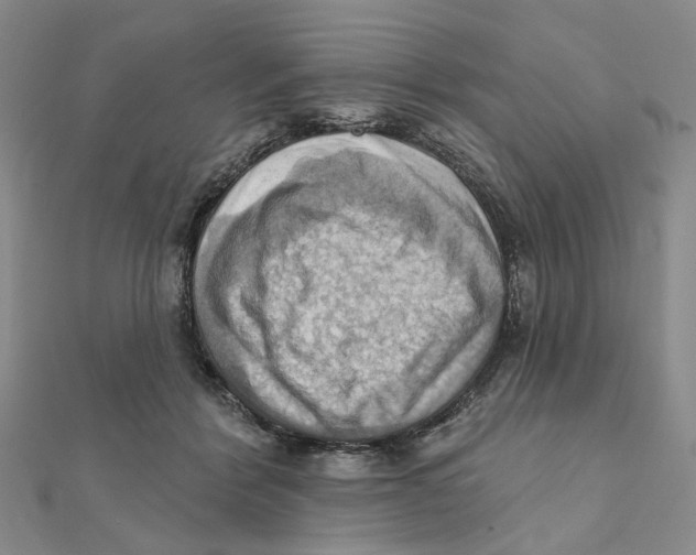 X0000111360412200908071157