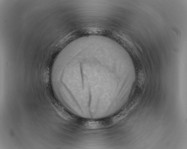 X0000111360413200908071157