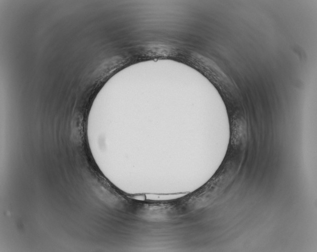 X0000111360414200908071157