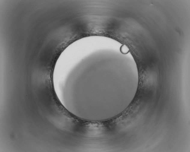 X0000111360415200908071157