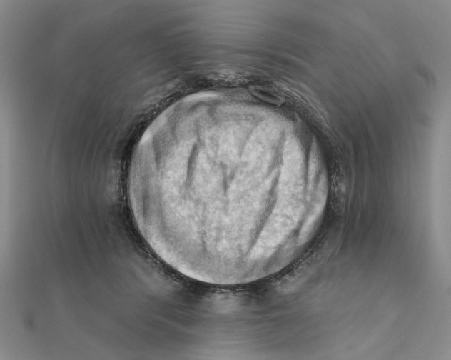 X0000111360416200908071157